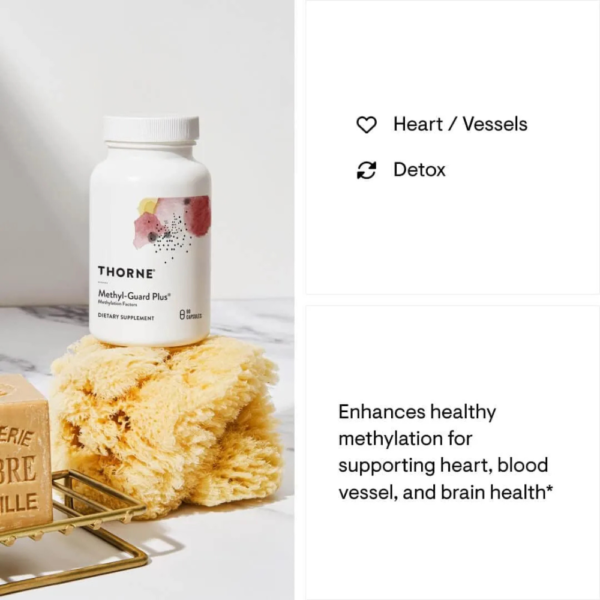 THORNE Methyl-Guard Plus Supplement - Image 2